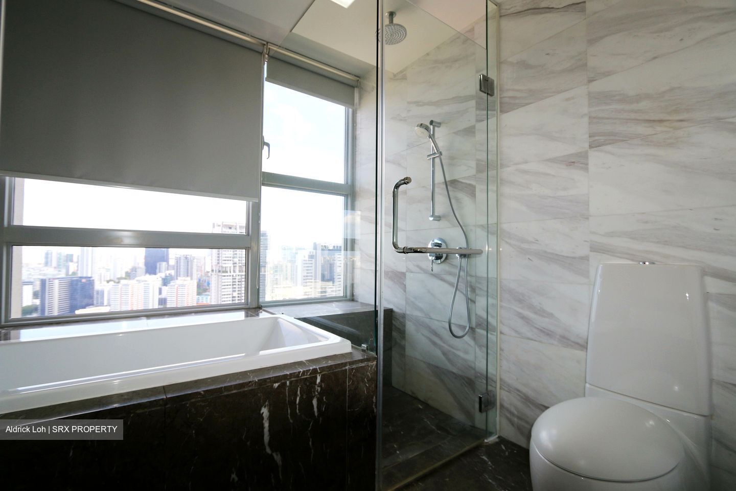 Sky@Eleven (D11), Condominium #334743881